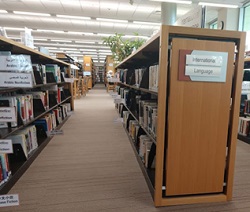 Library Books on Library Shelf