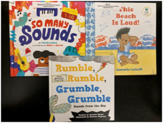 Sensory Hearing Books